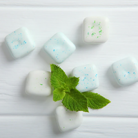 Refresh Nicotine Gums (110 Pieces)